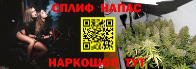 Альфа ПВП Краснодар